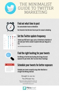 Minimalist Twitter Marketing Infographic